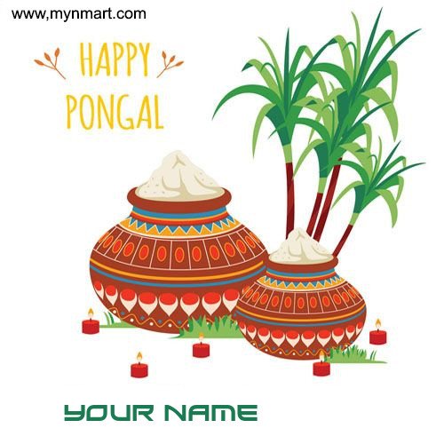 Happy Pongal Picture