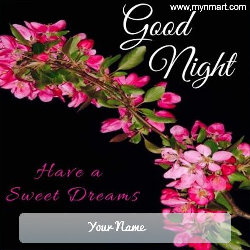 Have a Sweet Dreams